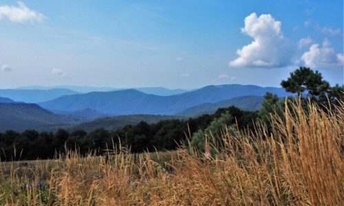 Zdjecie POLSKA / Bieszczady / na szlaku Woosate - Halicz - Tarnica - Woosate / przed gr gr...