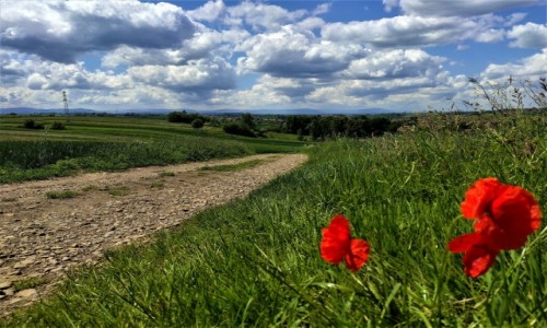 Zdjęcie POLSKA / małopolska / Podbeskidzie / Podbeskidzie...