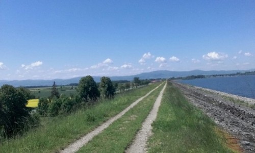 Zdjęcie POLSKA / woj.opolskie / Jezioro Otmuchowskie / Jezioro