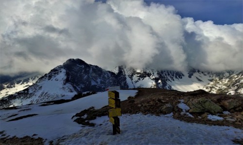 Zdj�cie POLSKA / tatry zachodnie / szczyt  / Wo�owiec 