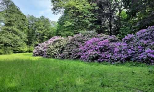 Zdjecie POLSKA / lskie / Cysterski Park Krajobrazowy / Ranecznik w Rudach