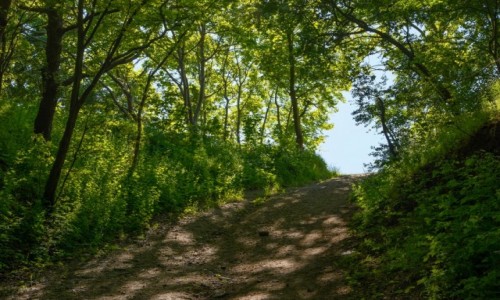 Zdjęcie POLSKA / woj. pomorskie / Gdynia - Oksywie / na Oksywiu