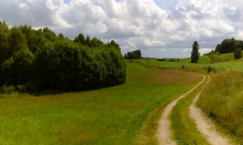 Zdjcie POLSKA / Szwajcaria Kaszubska / Lipowiec / Na Kaszubach