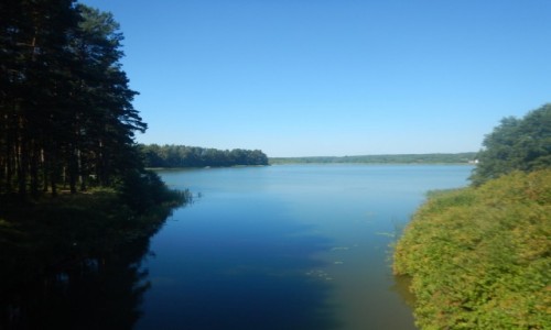 Zdjcie POLSKA / Podlasie / W drodze - szlakiem GV / Green Velo - sierpie 2020 