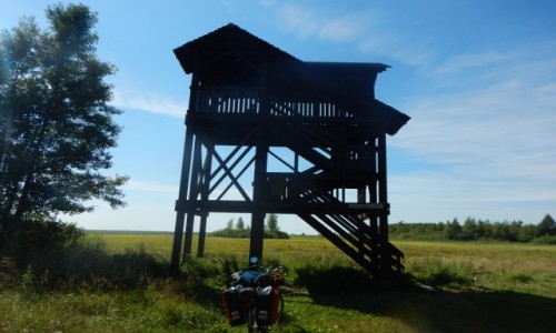 Zdjcie POLSKA / Podlasie / W drodze - szlakiem GV / Green Velo - sierpie 2020 
