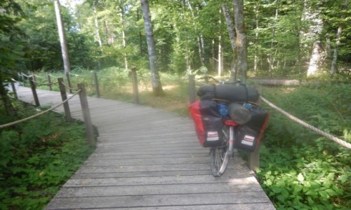 Zdjcie POLSKA / Podlasie / W drodze - szlakiem GV / Green Velo - sierpie 2020 