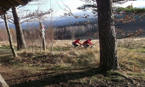 Zdjęcie POLSKA / Dolnośląskie, G.Izerskie / Świeradów-Czerniawa Zdr.(ok.ul.Strażackiej) / Rowerzyści
