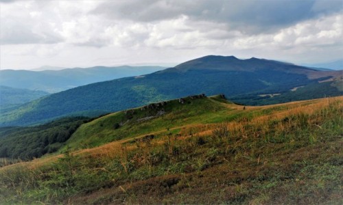 Zdjecie POLSKA / Bieszczady / szlak Woosate-Halicz-Tarnica / w kierunku Sioda...