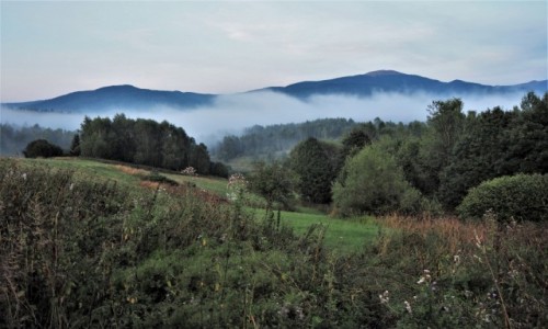 Zdjcie POLSKA / Bieszczady / Strzebowiska / ju po deszczu...
