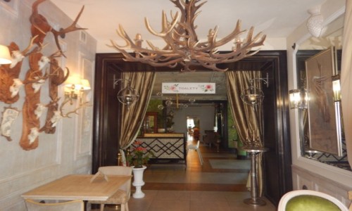 Zdjęcie POLSKA / Lubelskie / Urszulin / Green Velo - sierpień 2020