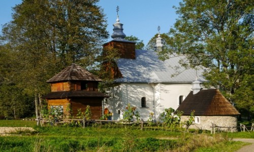 Zdjecie POLSKA / Bieszczady / opienka / Wrzeniowa opienka