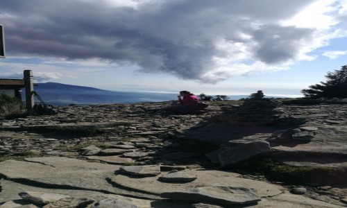 POLSKA / Beskidy / Babia Gra / Widok z polskiej czci Pilska