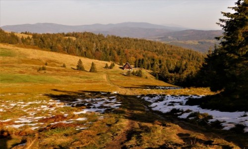 Zdjcie POLSKA / beskid / hala rycerzowa  / jesieni..