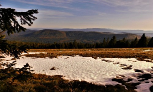 Zdjęcie POLSKA / beskid / okolice hali rycerzowej / w Beskidach