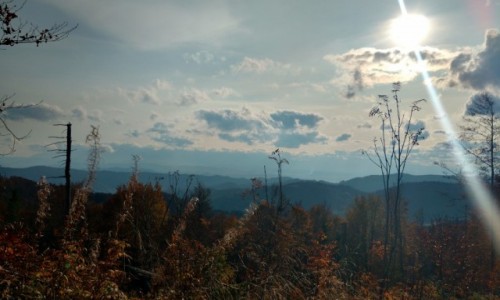 Zdjecie POLSKA / - / GORCE / WIDOK
