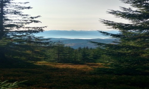 Zdjecie POLSKA / - / GORCE / WIDOK
