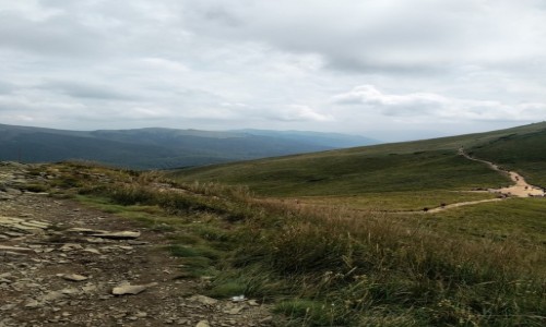 Zdjecie POLSKA / Bieszczady / Połonina Caryńska / Połonina Caryńska