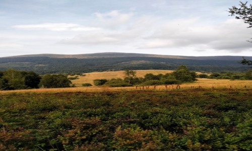 Zdjecie POLSKA / Bieszczady / Bieszczady / Połoniny ciąg dalszy