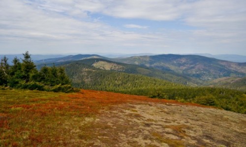 Zdjęcie POLSKA / Beskid Żywiecki / Pilsko / Beskid Żywiecki
