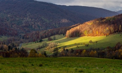 Zdjecie POLSKA / Bieszczady / Przecz Wynia / Lic gry