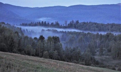Zdjecie POLSKA / Bieszczady / Strzebowiska / pomidzy drzewa si wlewa...