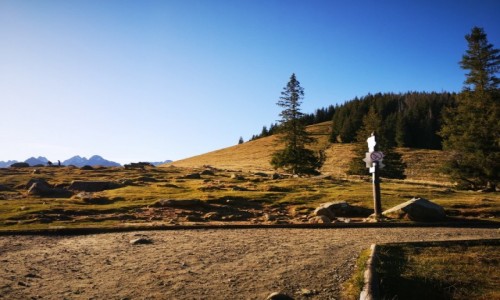 Zdjcie POLSKA / Tatry / Rusinowa Polana / Jesienna Rusinowa Polana