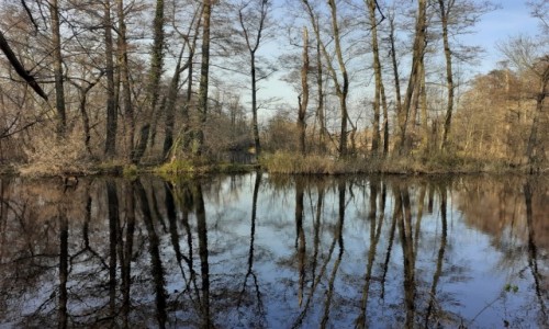 Zdjecie POLSKA / Wielkopolska / Pozna - wierczewo / glinianki...