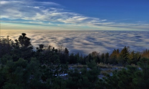 Zdjecie POLSKA / Beskid May / Hrobacza ka / morze chmur