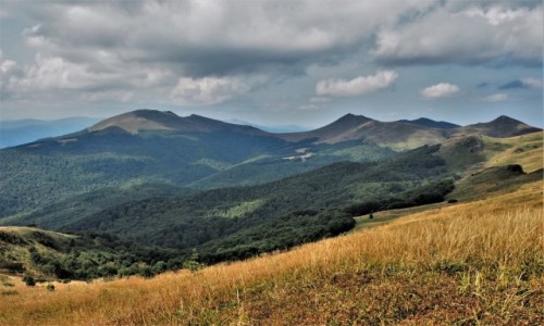 Zdjecie POLSKA / Bieszczady / Woosate-Halicz-Tarnica-Woosate / umiech sam rysuje si na twarzy...