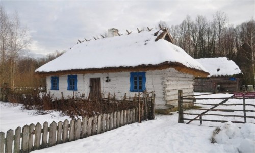 Zdjecie POLSKA / podlaskie / Budy / Zimowe Podlasie. Chata w Budach