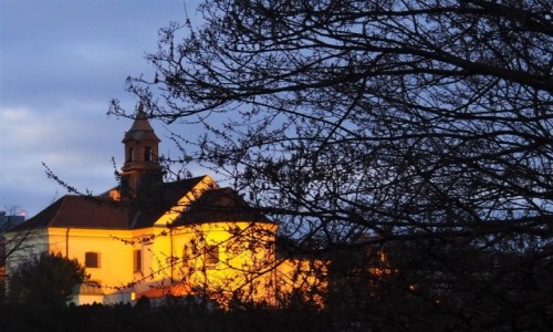 Zdjęcie POLSKA / Mazowsze / Warszawa / Old Town