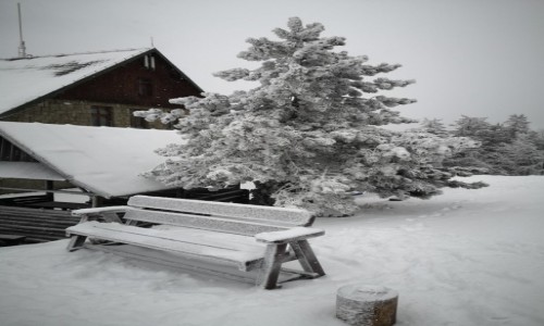 Zdjecie POLSKA / Beskid lski / Klimczok / niegiem malowane