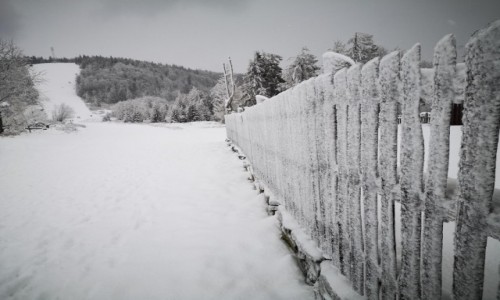 Zdjecie POLSKA / Beskid lski / Klimczok / W poszukiwaniu zimy..
