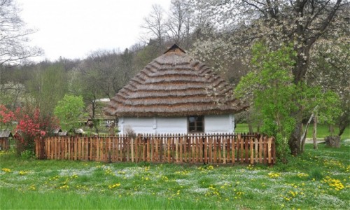 Zdjecie POLSKA / podkarpackie / Sanok / Chata w Muzeum Budownictwa Ludowego w Sanoku