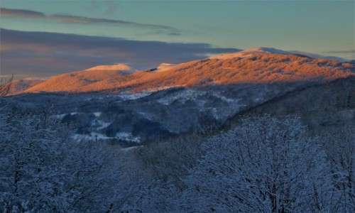 Zdjęcie POLSKA / Bieszczady / na szlaku  / złoto połoniny wetlińskiej o zachodzie