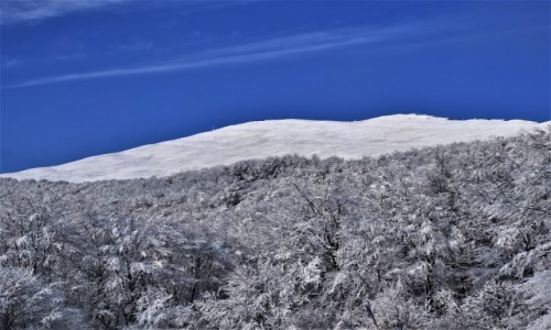 Zdjcie POLSKA / Bieszczady / na szlaku na Smerek / Poonina Wetliska