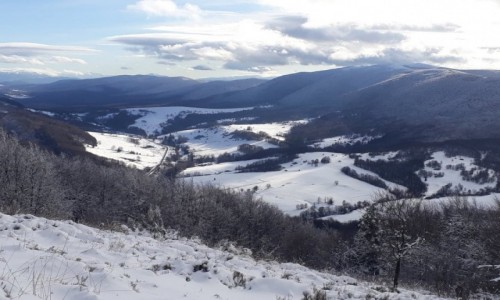 Zdjecie POLSKA / podkarpacie / Bieszczady / Jak wszyscy w Bieszczady, to babcia te ;-)