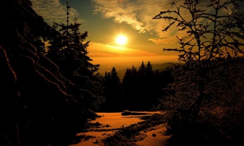 Zdjęcie POLSKA / Małopolska / Gorce Stare Wierchy / Pod Słońce