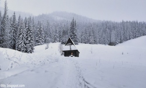 Zdjecie POLSKA / Tatry Zachodnie / Polana Olczyska / Wczorajsze Tatry...
