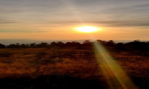 Zdjecie POLSKA / -Beskid Wyspowy / Ćwilin / Zachód