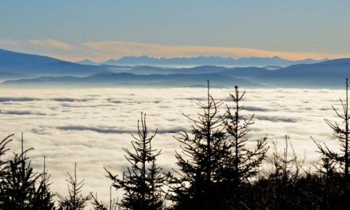 Zdjecie POLSKA / Beskid Slski / Klimczok / Zanim ustpi poranne mgy