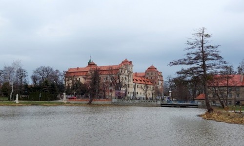 Zdjcie POLSKA / opolskie / Niemodlin / Zamek, widok z wyspy