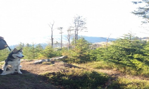 Zdjecie POLSKA / Sudety / Sudety / my