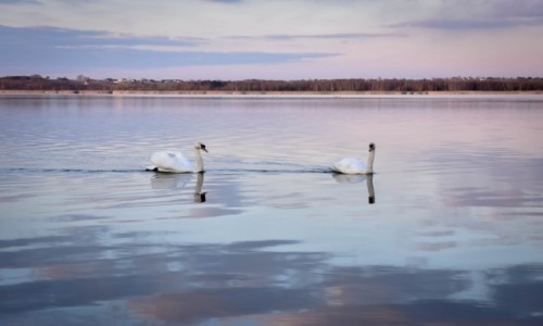 Zdj�cie POLSKA / - / Swierklaniec / Zalew w Swierkla�cu