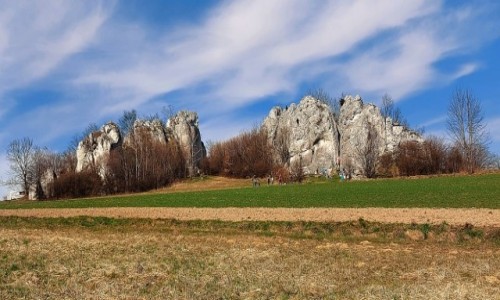 Zdjecie POLSKA / Jura Krakowsko-Czstochowska / Soneczne Skaki w Jerzmanowicach / Wiosna na Jurze