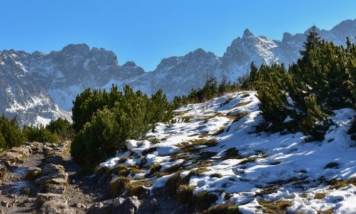 Zdjcie POLSKA / Podhale / Tatry Wysokie / W drodze na Hal Gsienicow