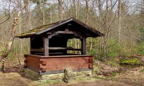Zdjcie POLSKA / opolskie / Lipno / rdo (studnia) Fryderyka 