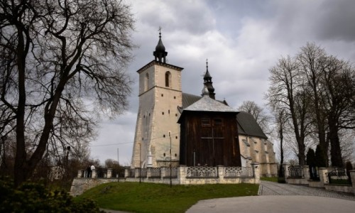 Zdjcie POLSKA / Ponidzie / Ponidzie / Koci w Czarnocinie