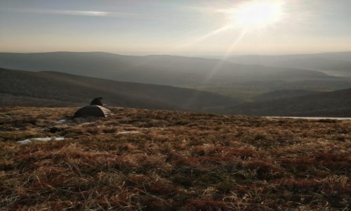 Zdjecie POLSKA / - / Bieszczady / Spontan 