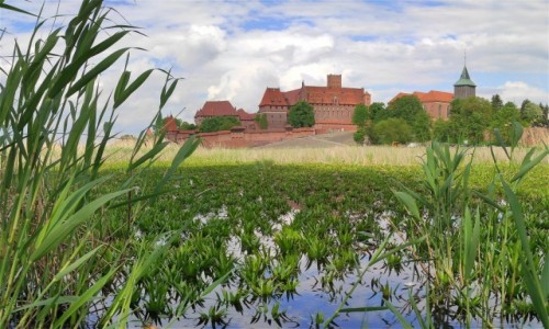 Zdjecie POLSKA / pomorskie / Malbork / Nad Nogatem